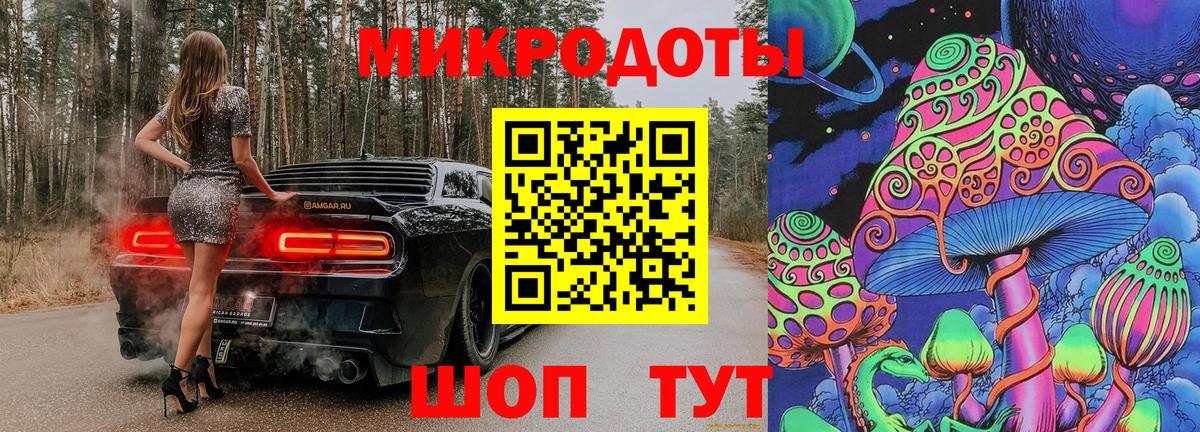 Псилоцибиновые грибы Cubensis  Вход с VPN  Апатиты 