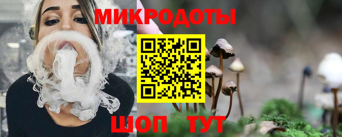 Галлюциногенные грибы GOLDEN TEACHER Апатиты